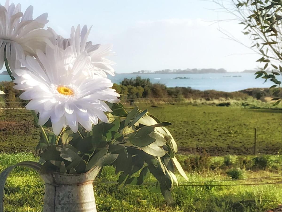 Le Petit Gite Cosy De Kerigou Avec Vue Mer Et Plage Saint-Pol-de-Léon Exterior foto